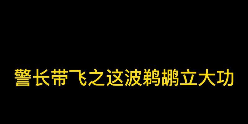 《鹅鹅鸭鹈鹕游戏》（用你的智慧拯救鸟类）