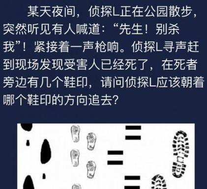 破解河滨公园浮尸案凶手身份（以犯罪大师为灵感的游戏挑战）