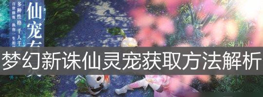 梦幻新诛仙黄金鸟详细使用方法分享（打造无敌阵容，助力征战天下）