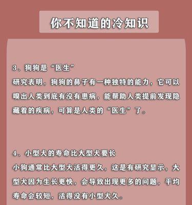 如何培养一只宠物——以魔之谷宠物为例（新手宠物培养指南，从基础到高级一步步教你打造强大的宠物战队）