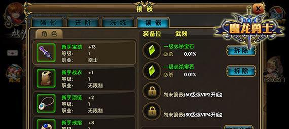 《魔龙与勇士》游戏战斗力提升技巧攻略（掌握这些关键技巧）