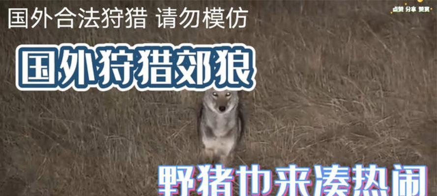 《狩猎之道》游戏中如何获取郊狼之角（打猎技巧详解）