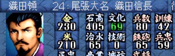 《信长之野望新生指令指南》（掌握新指令）